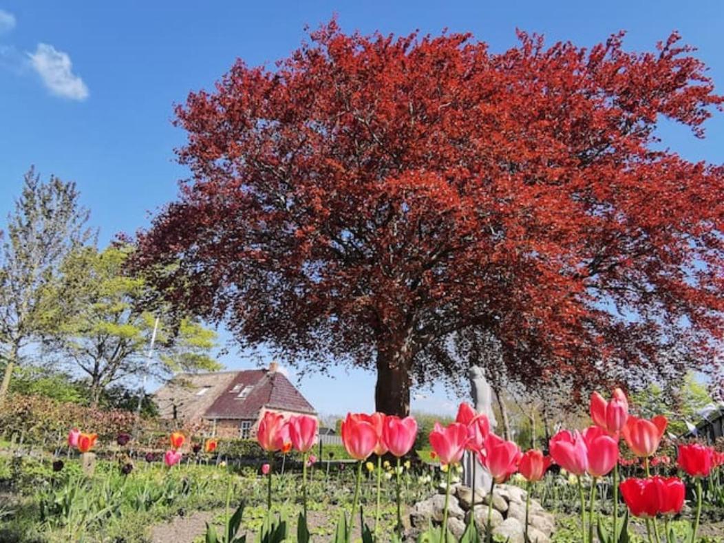 B&B Klassiek Twijzelerheide Kültér fotó